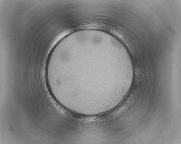 X0000115331426200911301518