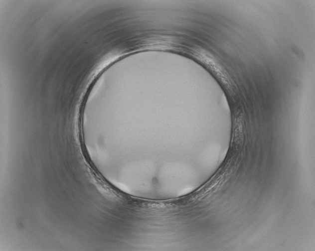 X0000115331427200911301518