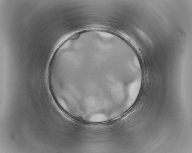 X0000115331429200911301518