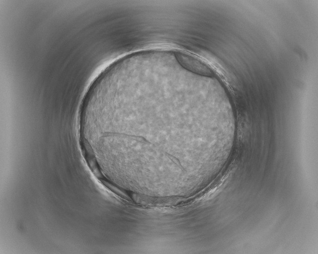 X0000115331430200911301518