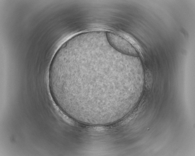 X0000115331431200911301518