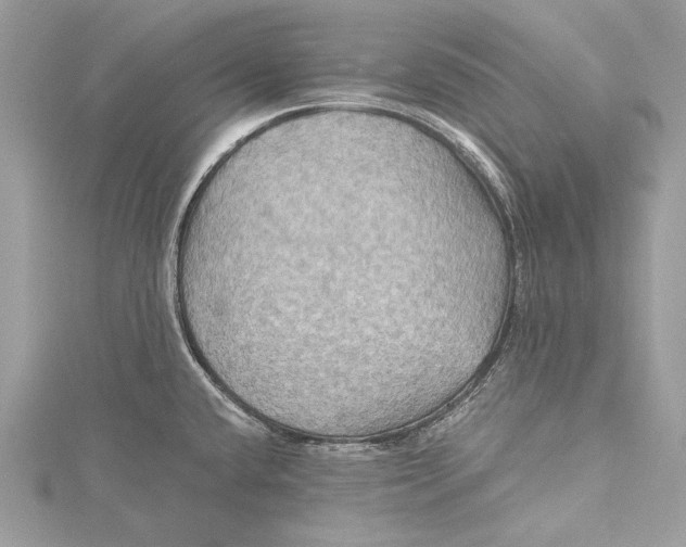 X0000115331432200911301519