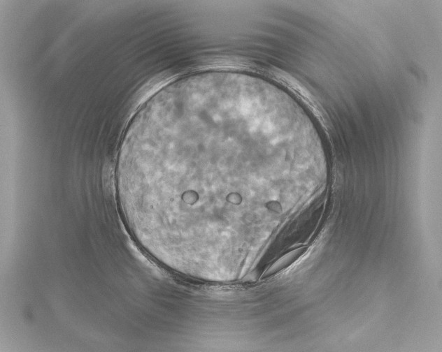 X0000115331433200911301519