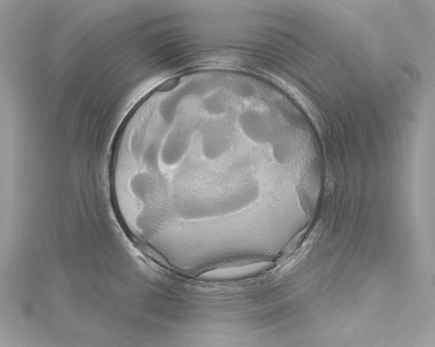 X0000115331434200911301519