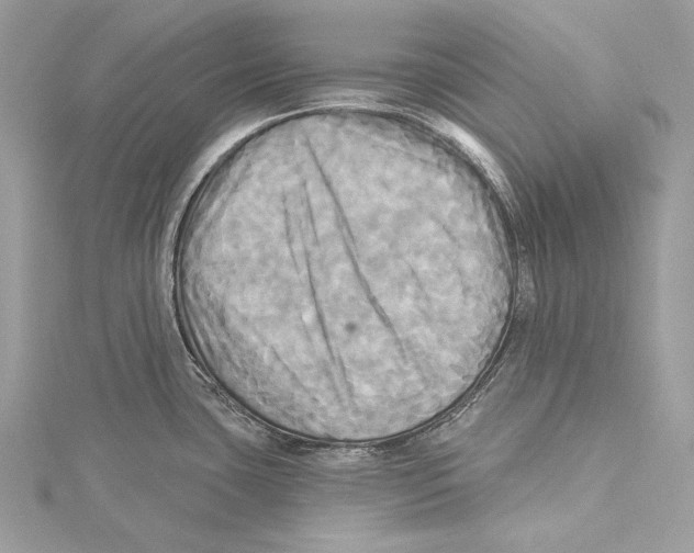 X0000115331435200911301519