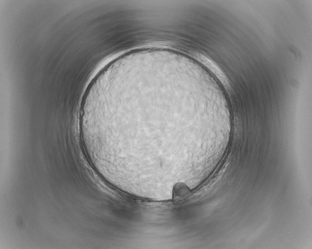 X0000115331436200911301519