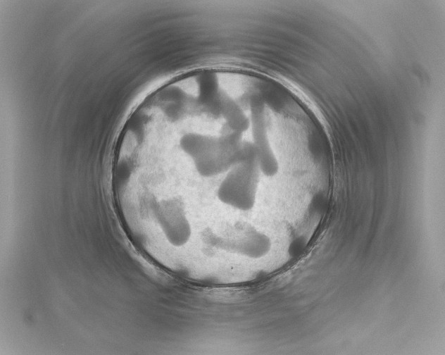 X0000115331437200911301519