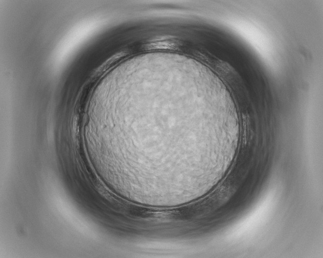 X0000115331438200911301519