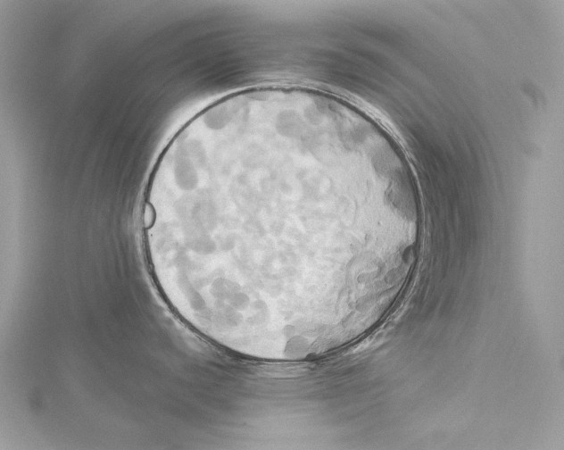 X0000115331440200911301519