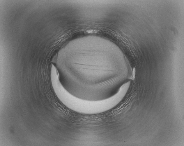 X0000115331443200911301518