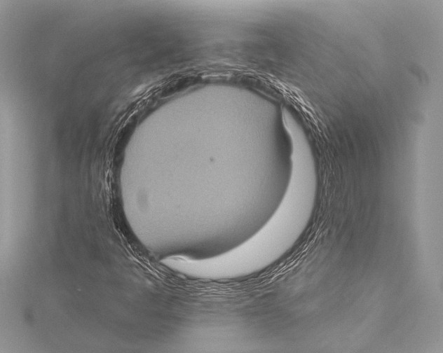 X0000115331445200911301518