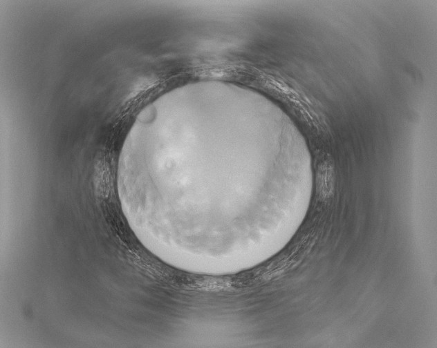 X0000115331446200911301518