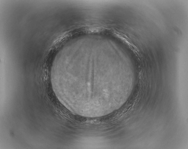 X0000115331447200911301518