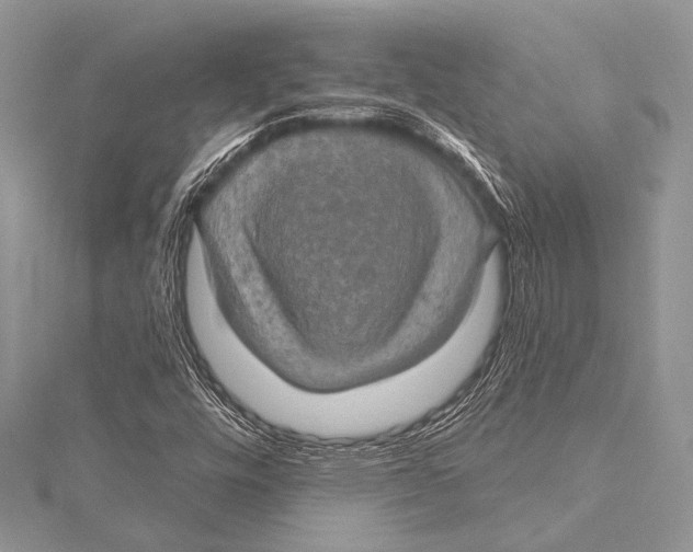 X0000115331448200911301518