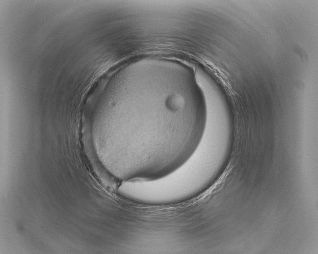 X0000115331449200911301518