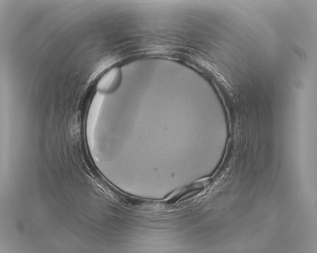 X0000115331450200911301518