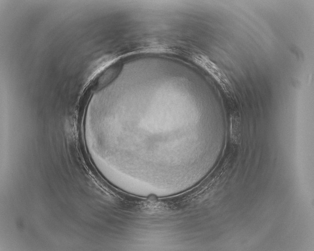 X0000115331452200911301518