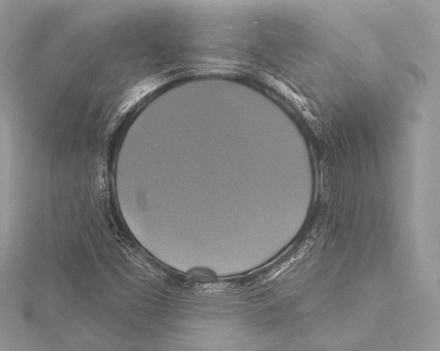 X0000115331453200911301518