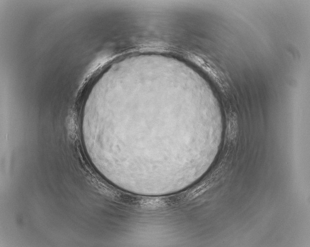 X0000115331454200911301518