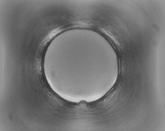 X0000115331455200911301518