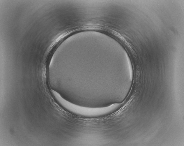 X0000115331461200911301518