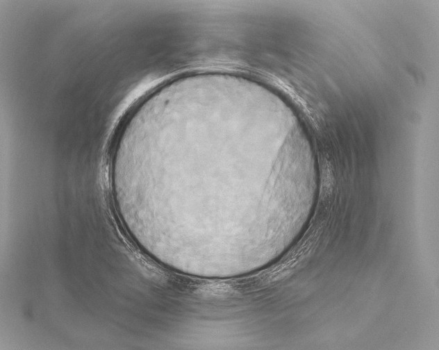 X0000115331462200911301518