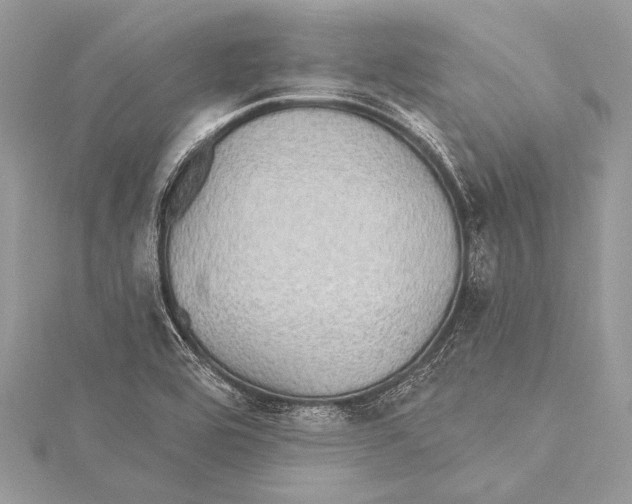 X0000115331464200911301518