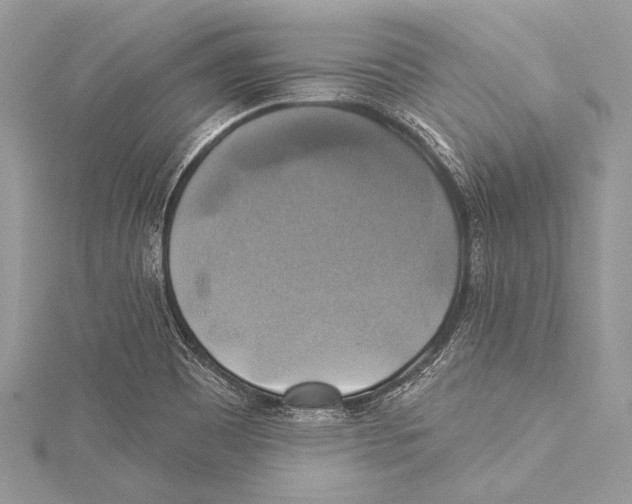 X0000115331465200911301518