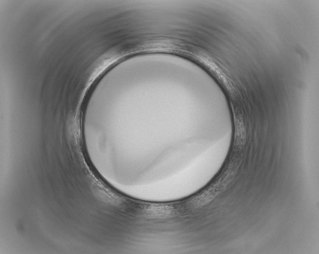 X0000115331466200911301518