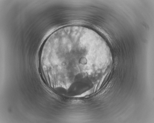 X0000115331467200911301518