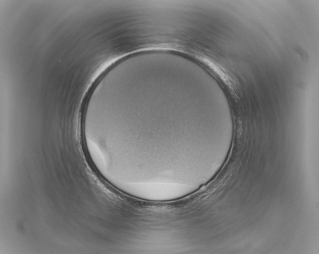 X0000115331468200911301518