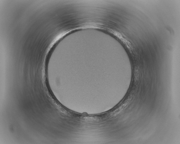 X0000115331469200911301518