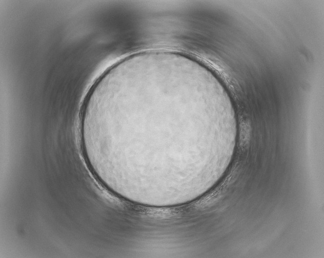 X0000115331470200911301518