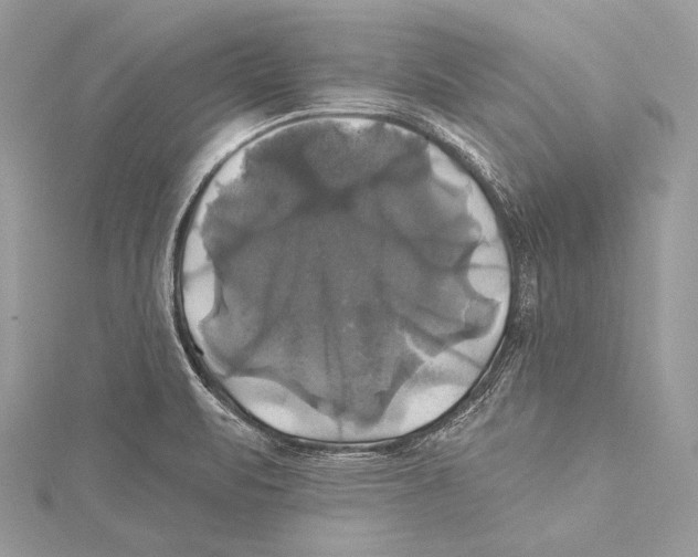 X0000115331471200911301518