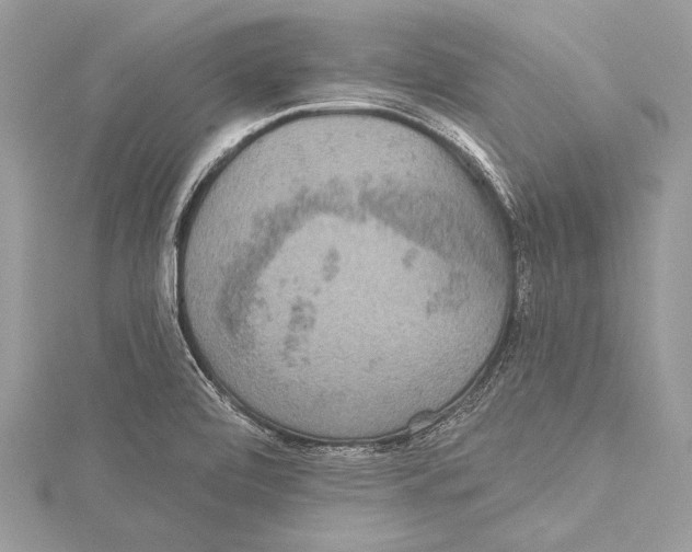 X0000115331472200911301518