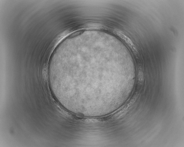 X0000115331473200911301518