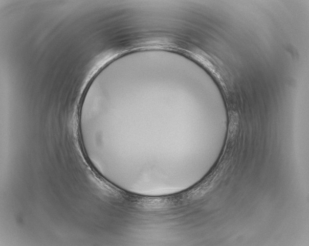 X0000115331474200911301518