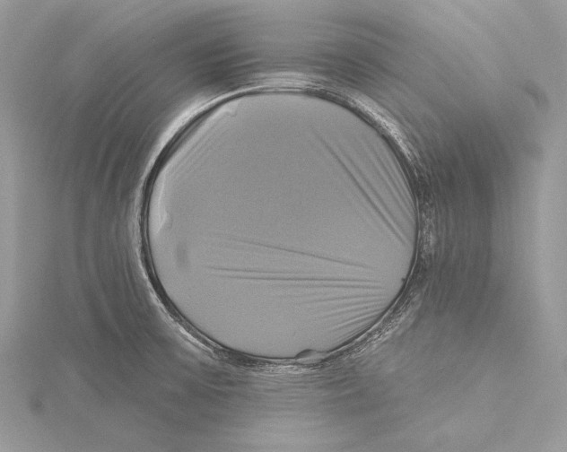 X0000115331475200911301518