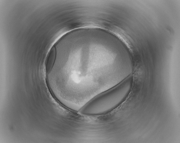 X0000115331476200911301518