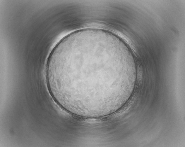 X0000115331478200911301518