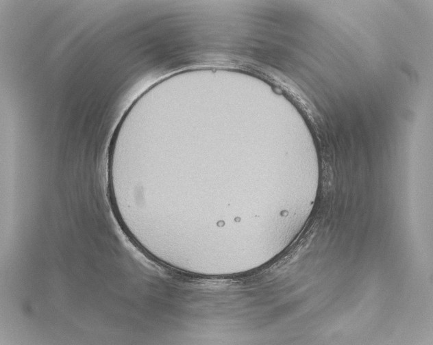 X0000115331479200911301518