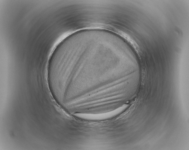 X0000115331480200911301517