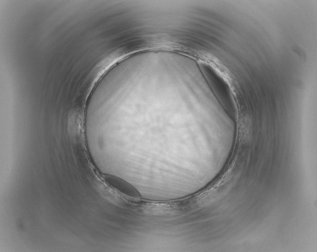 X0000115331481200911301517