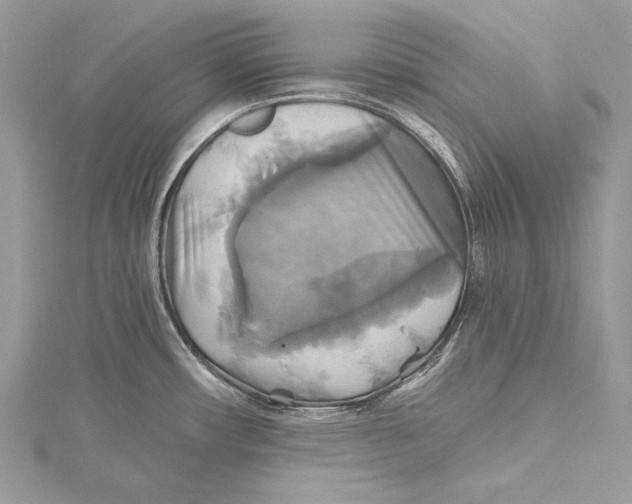 X0000115331482200911301517