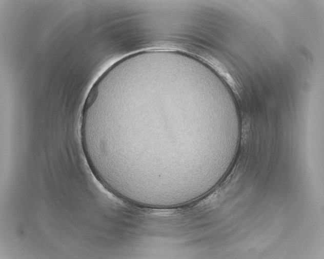 X0000115331484200911301517