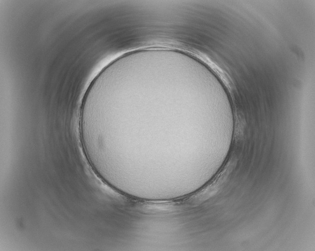 X0000115331486200911301517