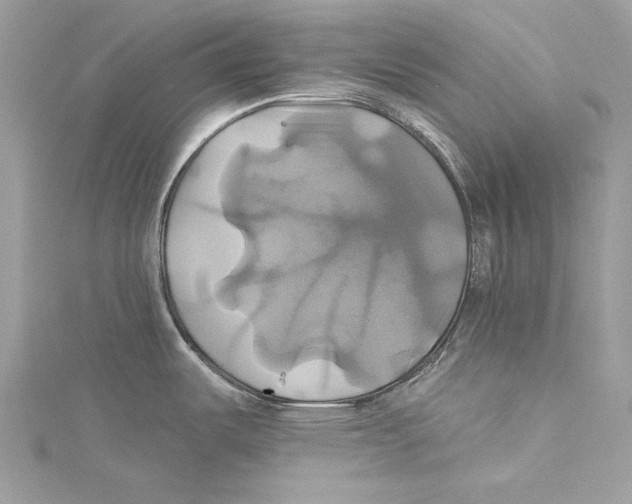 X0000115331487200911301517