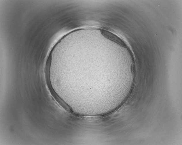 X0000115331488200911301517