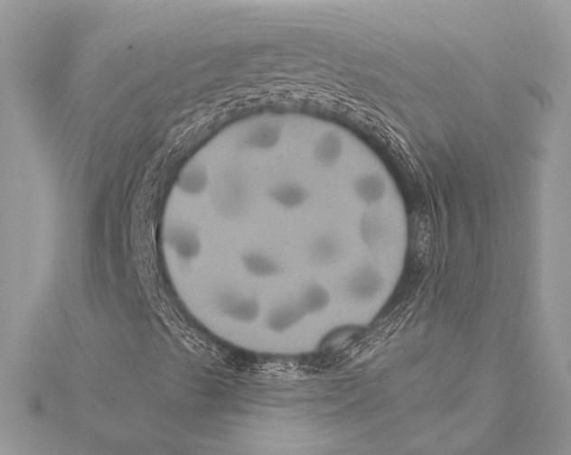 X0000115331489200911301517