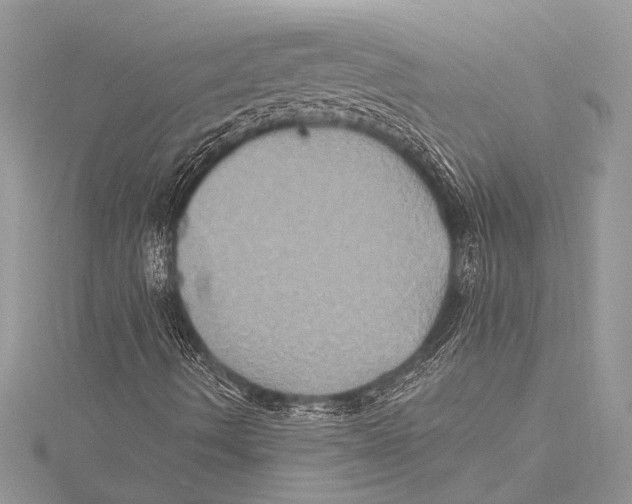 X0000115331490200911301517